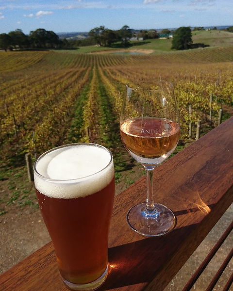 Anderson Hill Cellar Door Restaurant - Book Restaurant 4