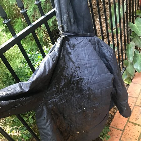 Cafe Settebello - Book Restaurant 0