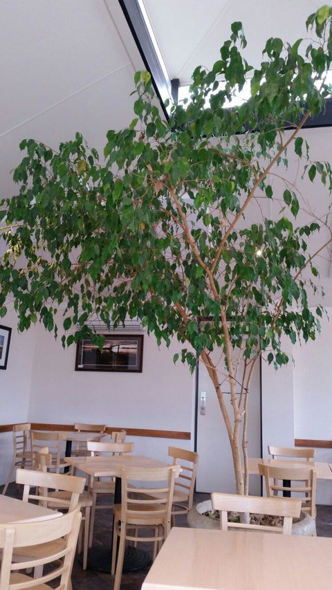 Lobethal Bakery - Book Restaurant 1