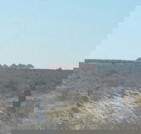 Moonlite Cafe - Book Restaurant