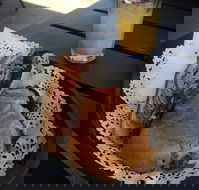 Clove Licensed Restaurant - Book Restaurant