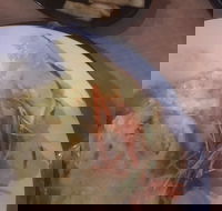 Mount Isa Irish Club - Book Restaurant