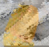 Scotsmans Fish  Chips - Book Restaurant