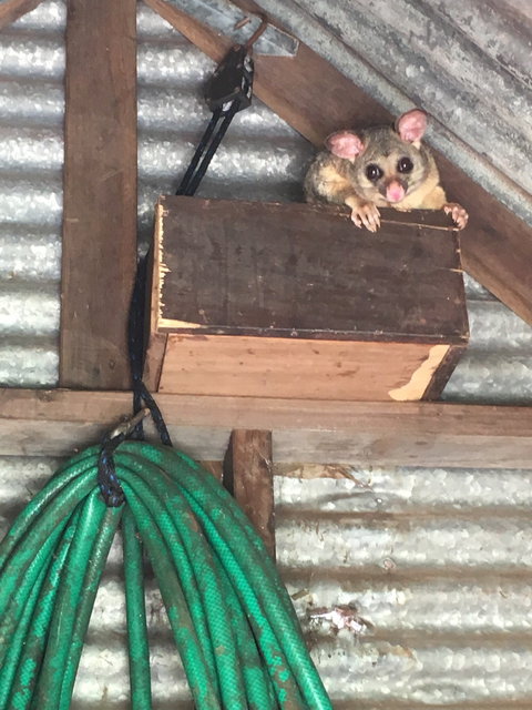 Cafe At Abbie Lane - Book Restaurant 4