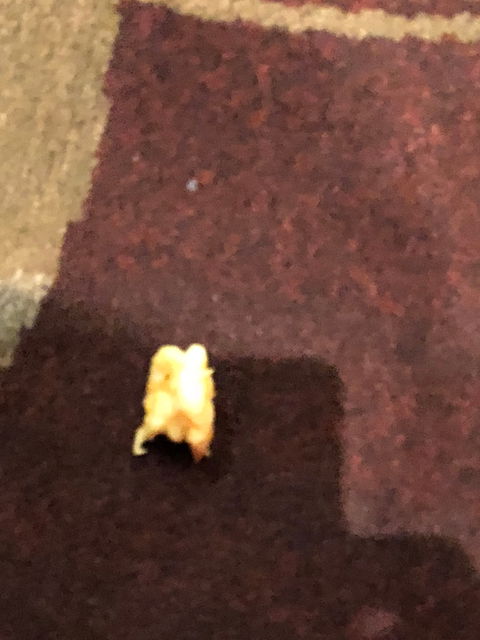 Caloundra RSL - Book Restaurant 5