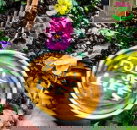 Full of Life Organics - Book Restaurant