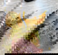 Healthy Habits - Book Restaurant