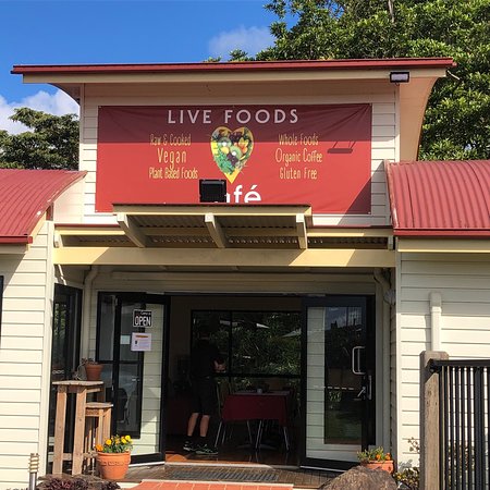 Live Foods Cafe & Restaurant - Book Restaurant 0