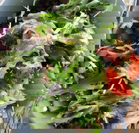 The Spun Yarn Cafe - Book Restaurant