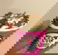 Baskin Robbins Toowoomba - Book Restaurant