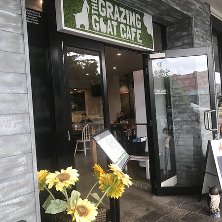 Grazing Goat Cafe Mackay