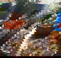 Island fruit Barn - Book Restaurant