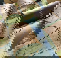 Mourilyan Bakery - Book Restaurant