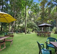 Rainforest - Book Restaurant