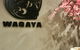 Wagaya - thumb 1