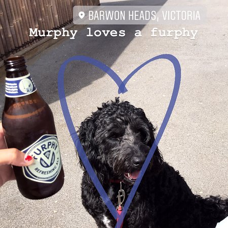 Mangroves Bar and Grill Barwon Heads