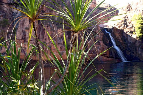 3-Day Kakadu 4WD Camping Safari From Darwin - Book Restaurant 2