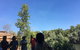 3-Day Kakadu 4WD Camping Safari From Darwin - thumb 3