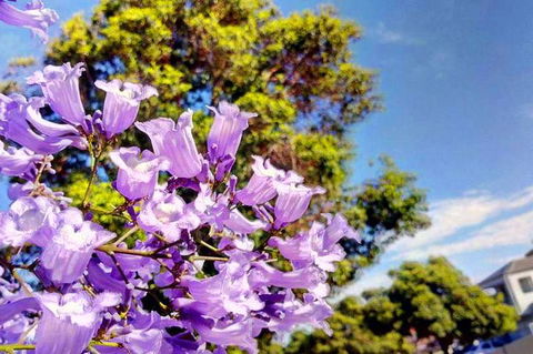 Big Perth (Private) Day Tour - Book Restaurant 3