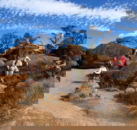 The Big Wave Rock Private Day Tour - Book Restaurant