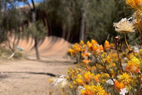 The Big Wave Rock (Private) Day Tour - Book Restaurant 3