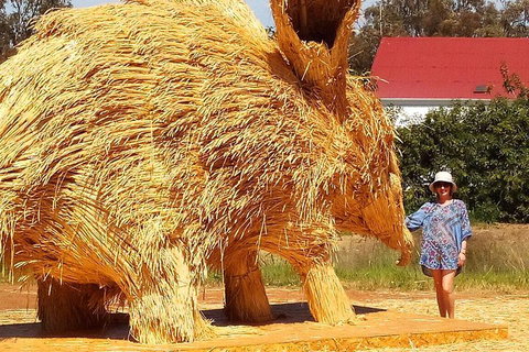 The Big Wave Rock (Private) Day Tour - Book Restaurant 5