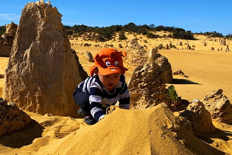 Perth Kids Explorer (Private) Day Tour - Book Restaurant 3