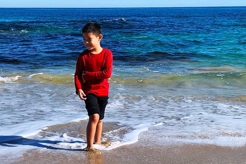 Perth Kids Explorer (Private) Day Tour - Book Restaurant 4