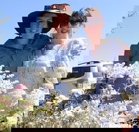 Spring Wildflower Private Day Tours - Book Restaurant