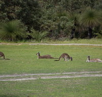 Yanchep  Lancelin - Wildlife Cave And Sands - Book Restaurant