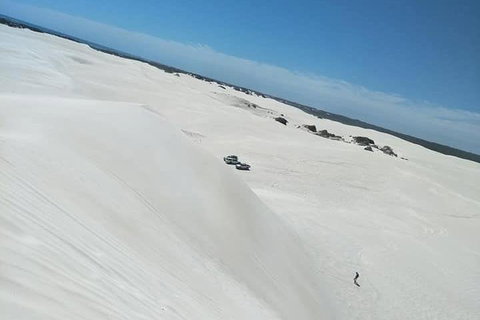 Yanchep & Lancelin - Wildlife, Cave And Sands - Book Restaurant 3