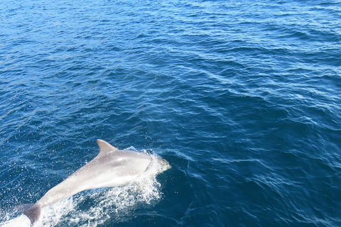 Twilight Sail Bruny Island - Book Restaurant 5