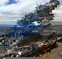 kunanyi / Mt Wellington Explorer Bus - 2 Hour Return Tour - Book Restaurant