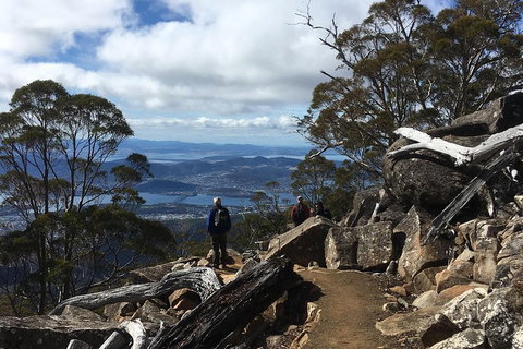 Kunanyi / Mt Wellington Explorer Bus - 2 Hour Return Tour - Book Restaurant 0