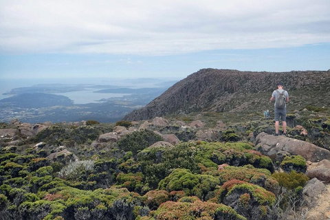 Kunanyi / Mt Wellington Explorer Bus - 2 Hour Return Tour - Book Restaurant 3