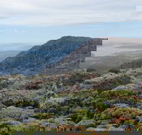 kunanyi/Mt Wellington Explorer Bus - One Way Tour - Book Restaurant