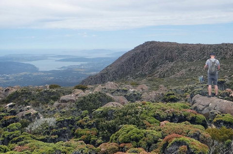Kunanyi/Mt Wellington Explorer Bus - One Way Tour - Book Restaurant 0