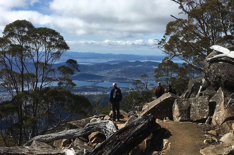 Kunanyi/Mt Wellington Explorer Bus - One Way Tour - Book Restaurant 2