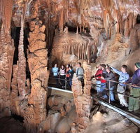 Private Tour Jenolan Caves  Blue Mountains in a day - Book Restaurant