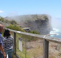 Sydney Shore Excursion Half-Day Sydney City Highlights with Bondi Beach and Watsons Bay - Book Restaurant