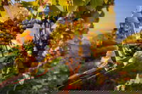 Book Viator Accommodation Vacations Book Restaurant Book Restaurant