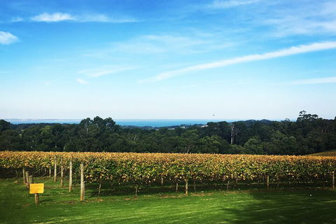 Mornington Peninsula Tour Inc Chairlift,beach Boxes,lunch,choc Tasting And More - Book Restaurant 2
