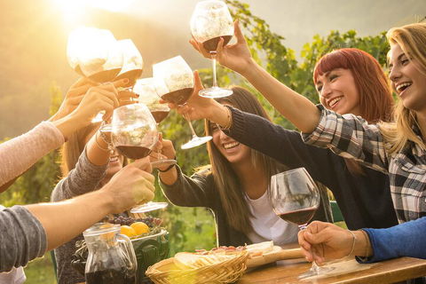 Mornington Peninsula Tour Inc Chairlift,beach Boxes,lunch,choc Tasting And More - Book Restaurant 3
