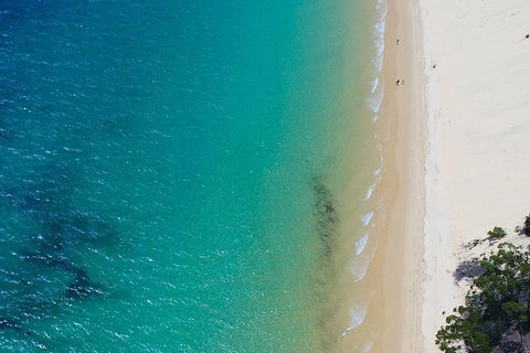 Private Tangalooma Wrecks Tour - Book Restaurant 1