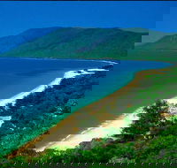 Cairns Reef and Rainforest Combo Daintree Rainforest and the Great Barrier Reef - Book Restaurant