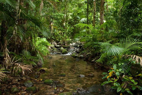 Cairns Reef And Rainforest Combo: Daintree Rainforest And The Great Barrier Reef - Book Restaurant 1