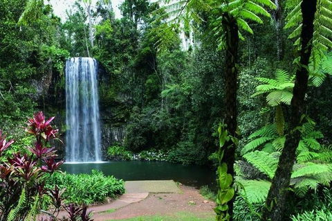 Paronella Park And Millaa Millaa Falls Full-day Tour From Cairns - Book Restaurant 3