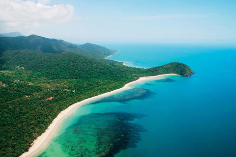 Cape Tribulation, Mossman Gorge, And Daintree Rainforest Premium Day Tour - Book Restaurant 2