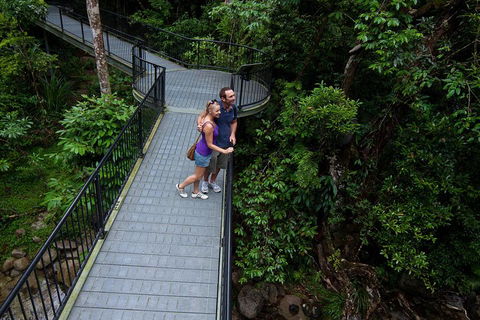 Cape Tribulation, Mossman Gorge, And Daintree Rainforest Premium Day Tour - Book Restaurant 3