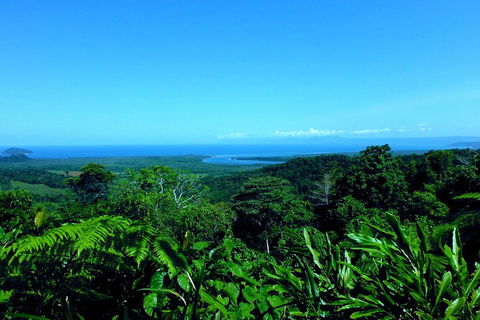 Cape Tribulation, Mossman Gorge, And Daintree Rainforest Premium Day Tour - Book Restaurant 5